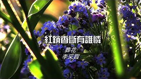 李彩霞 - 葬花【Original Karaoke】