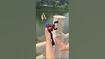 Cần câu máy rút gọn 33cm dài 1,8m câu cá lóc đến 10kg, bỏ túi 🎣🐟🥰 #fishing #shorts