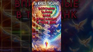 ТЫ ЖИВОЕ ПИСАНИЕ | Эдуард Хестанов #бог #иешуа #яхве #писание