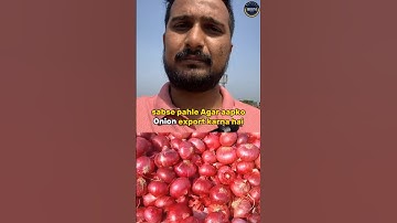 How to Export Onion Compete Process