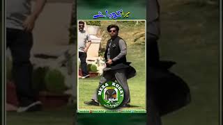 Shafi Jan Helicopter Video #shorts #ytshorts