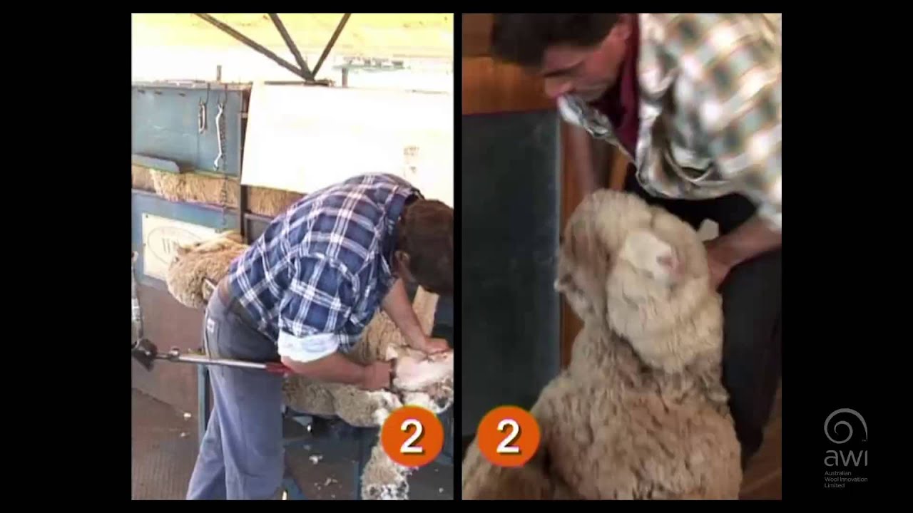 AWI Crutching - Catch and Drag - Performance Comparison