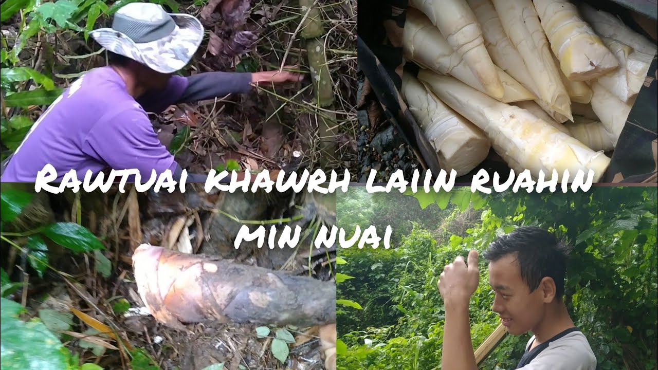 Ruahsur hnuaiah Rawtuai khawrh lawk ang..