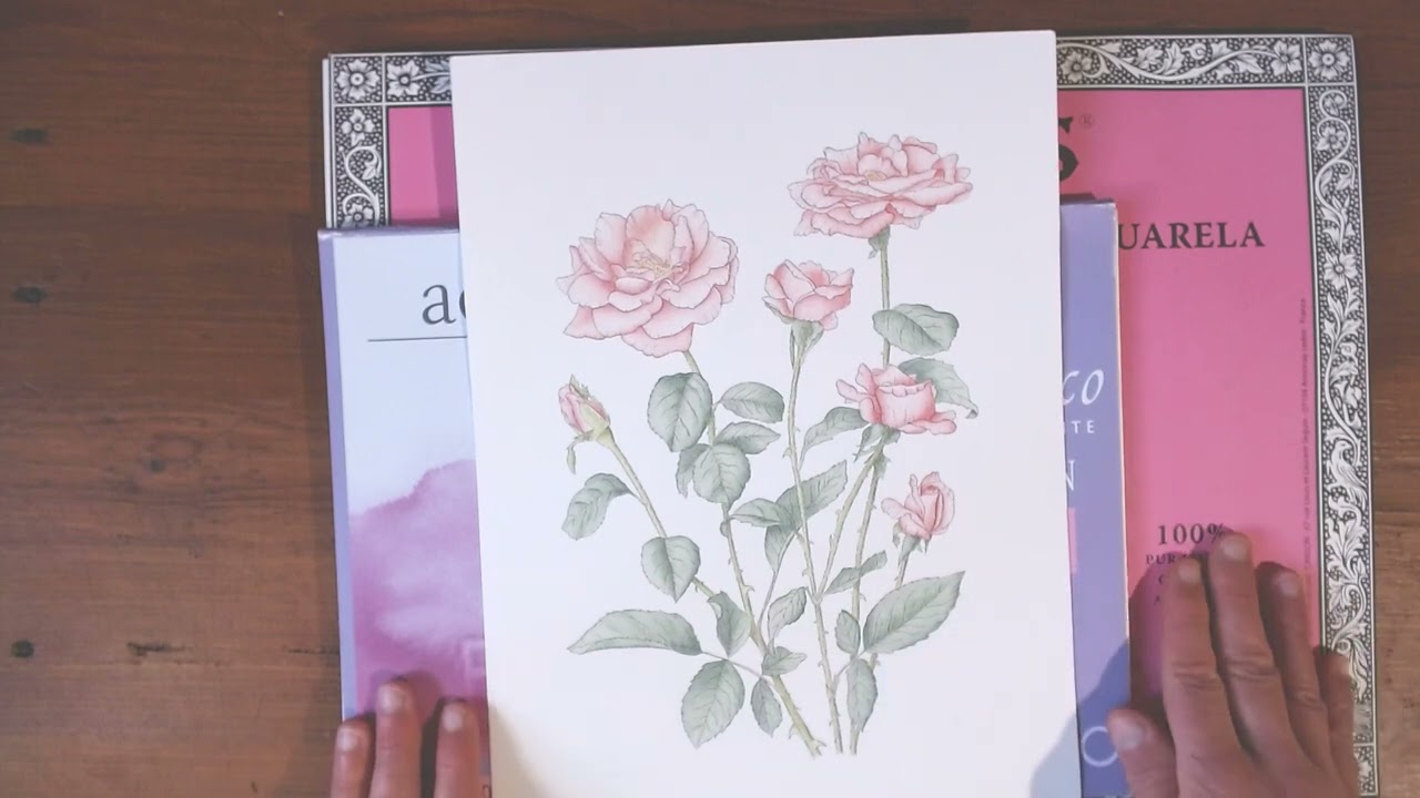 Arches vs Fabriano Comparison