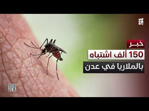 مدير الترصد الوبائي لـالجمهورية: 150 ألف حالة اشتباه بالملاريا في عدن