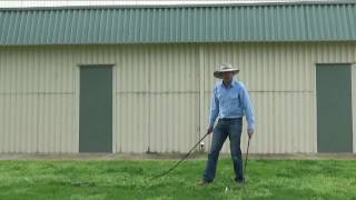 snake killer