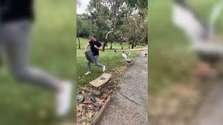 Man Gets Chased By An Angry Goose