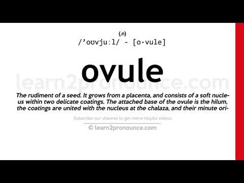 Udtale af ovule | Definition af Ovule