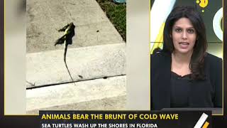Gravitas: America in deep freeze