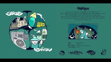 DSC - Intro [entering the jungle]