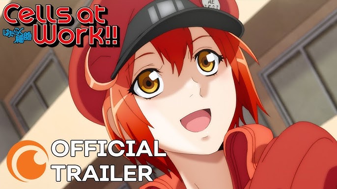 Cells at Work! CODE BLACK English Dub Trailer 