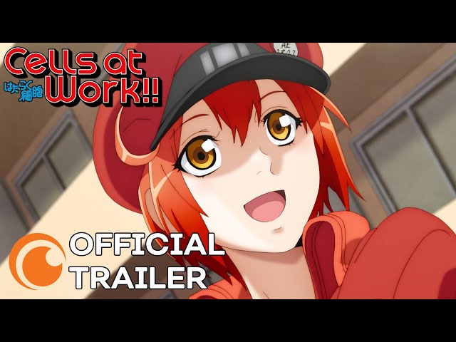 Cells at Work!!  OFFICIAL TRAILER 