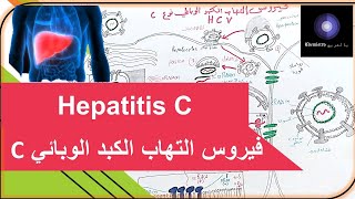 فيروس التهاب الكبد الوبائي  Hepacivirus C