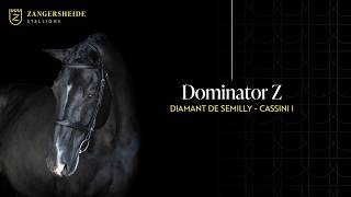 Dominator 2000 Z-Zangersheide Hengstpräsentation 2026 ( GER )