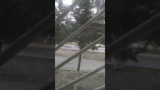 Yağış Yağır Inanmıram Yarım Gözləyə Meni