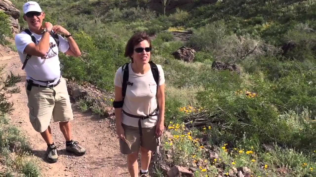 Picacho Peak is a wildflower wonderland