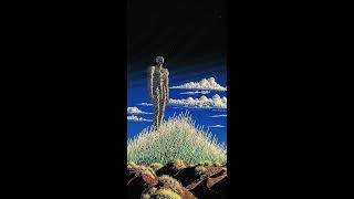 pluko - FALLING (432hz)