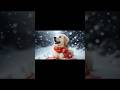 Can Your Dog Be a Tax Dependent? Woman Thinks Yes! #petlovers #dogowners #dogshorts