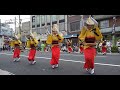 いなせ連　葛飾菖蒲まつり 2019