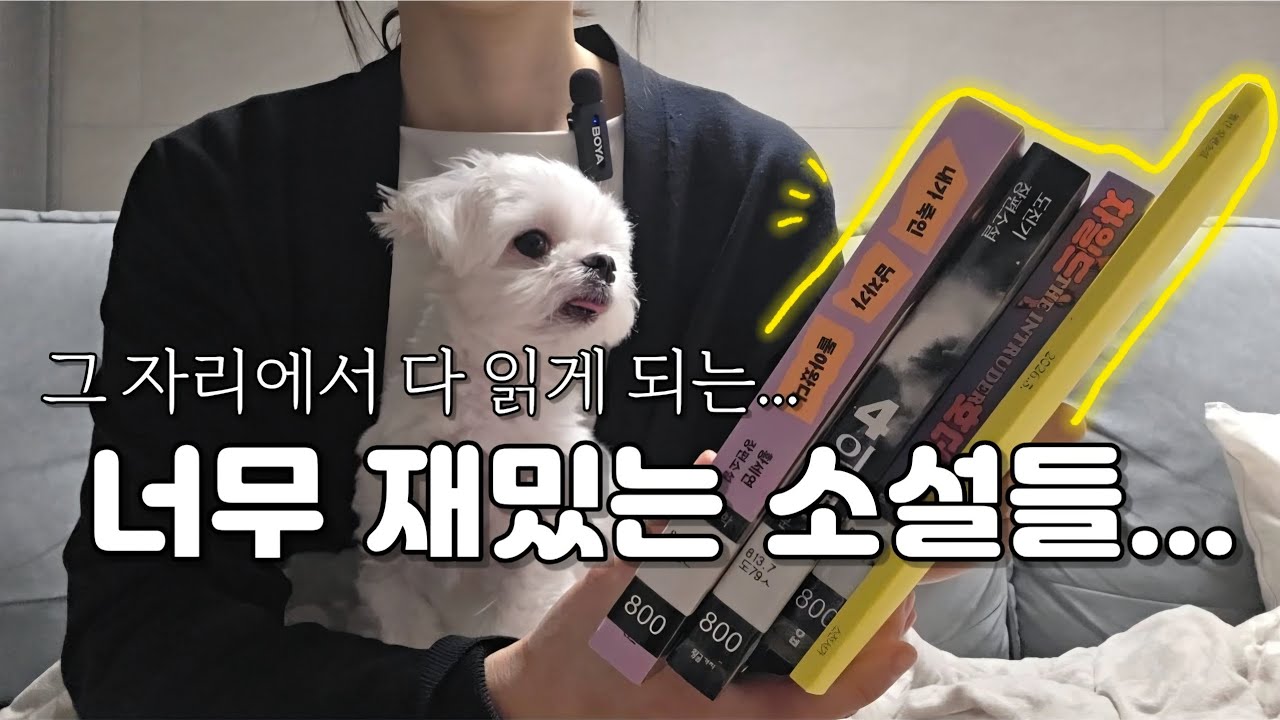 너무 재밌어서 펼치자마자 끝까지 달리는 ‘미친 재미’ 소설 (가독성 최고)