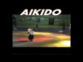 Dmonstration section aikido