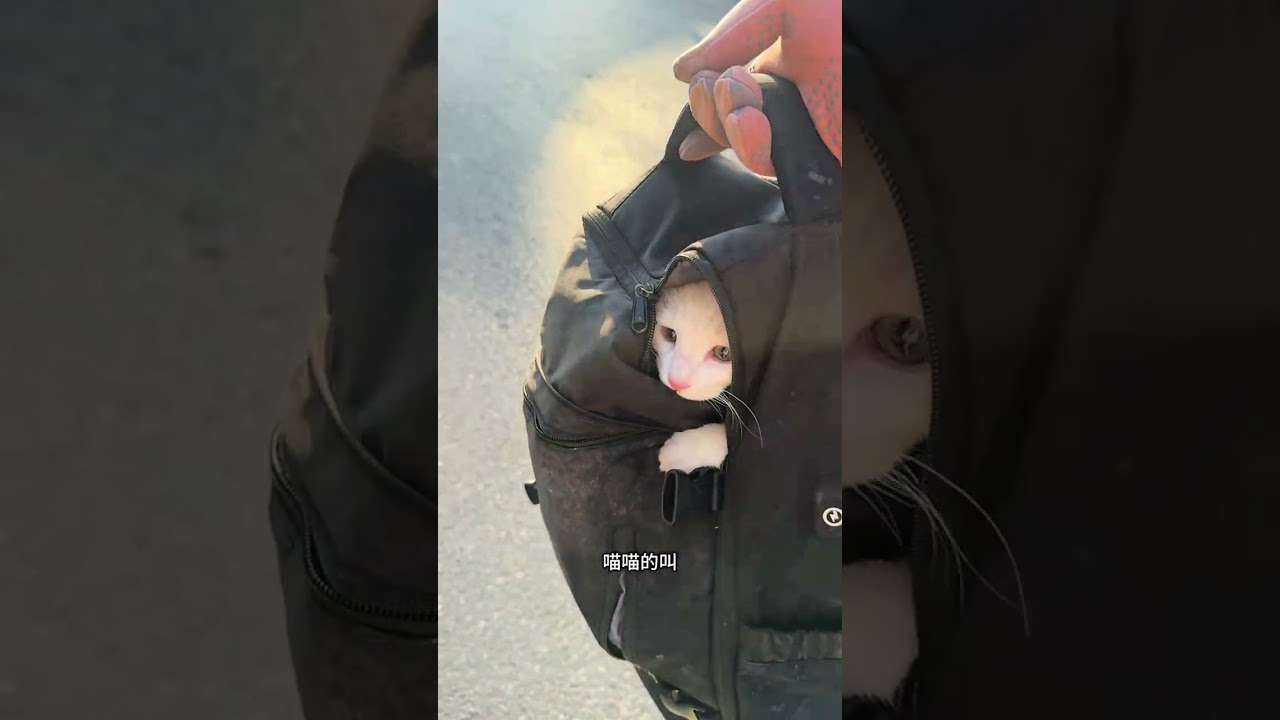 机票订好了，带大美回贵州过年 ！@大美1 0 