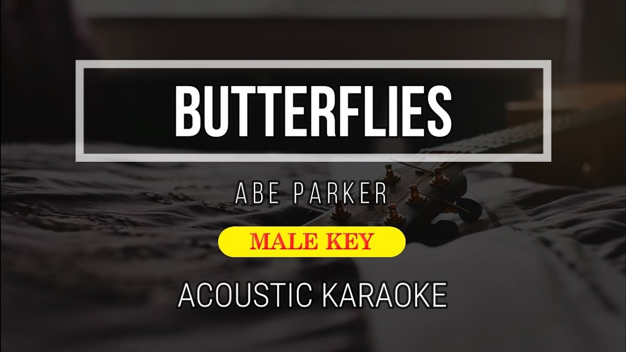 Butterflies ( Karaoke Male Key ) Abe Parker Instrumental Karaoke
