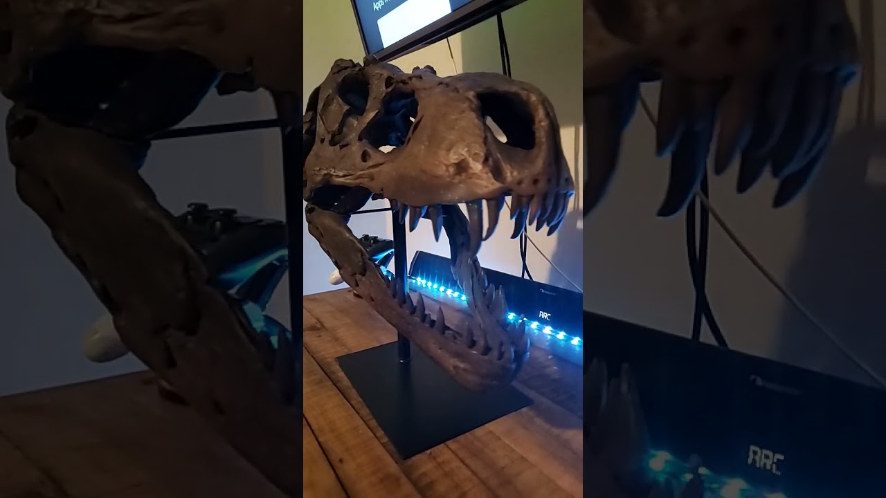 T Rex Skeleton At Home
