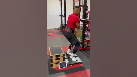 Isometric Belt Squat Test