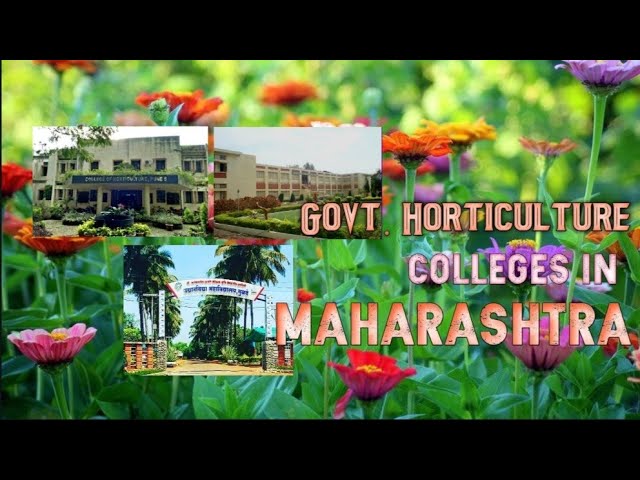 Universidades de horticultura bsc en maharashtra