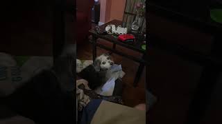 IMG 1587