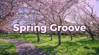 Playlist | Just Press Play and Feel Better 🌸 Soft Spring Chill Pop screenshot 4