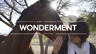 Wonderment