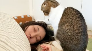 絶対に起きないママVS絶対に起こすパパ猫