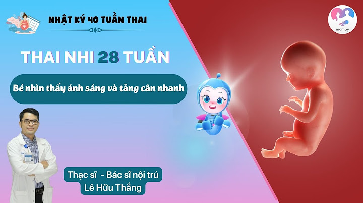 Thai nhi 28 tuần nặng bao nhiêu gam năm 2024