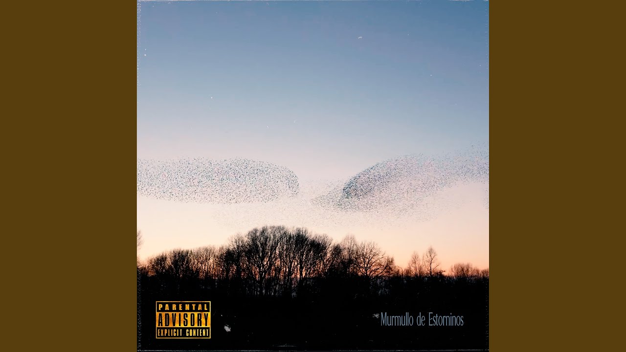Murmullo de Estorninos