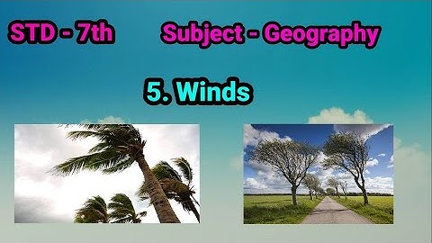 Standard 7th | Geography | Chapter 5. Winds | English medium | Class 7 | Maharashtra state board