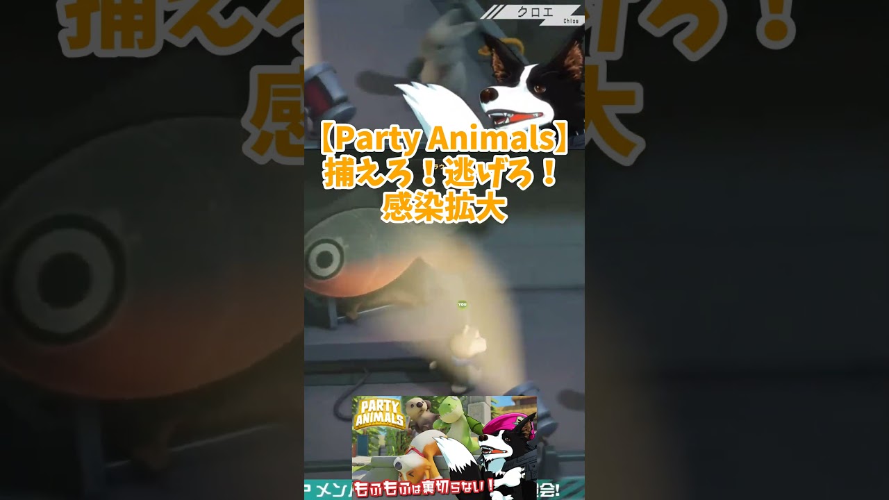 Party Animals】Catch them! Run away! Infection spreading - YouTube