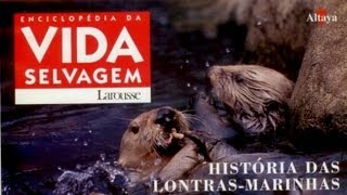 Vida Selvagem - História das Lontras Marinhas - Parte 1 / 5