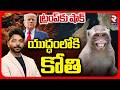 యుద్ధంలోకి కోతి.. | Monkey Attack On US Navy At Hormuz Strait | Iran US War | Trump | Viral | RTV