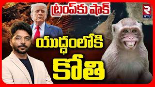 యుద్ధంలోకి కోతి.. | Monkey Attack On US Navy At Hormuz Strait | Iran US War | Trump | Viral | RTV