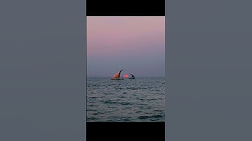 سورة يونس من الآية ٤٣ الي ٤٥