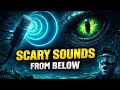 The Deep Ocean Is Not Silent | Terrifying Sounds Scientists Recorded #trending #viralvideo #youtube