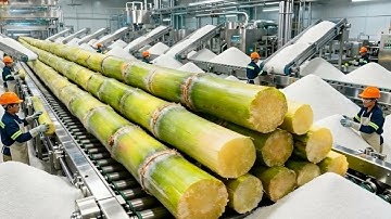 Inside a Sugar Factory: How Sugarcane Is Turned into Pure White Sugar (Full Process)
