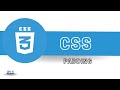 CSS Padding // CSS Padding in Nepali // CSS Padding Property in Nepali #11