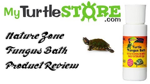 Nature Zone Product Review - Bacterial / Fungus Treatment