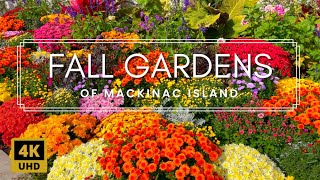 Fall Garden Walking Tour | Amazing Colors and Relaxing Music on Mackinac Island, Michigan