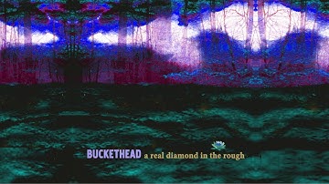 Buckethead - A Real Diamond In The Rough