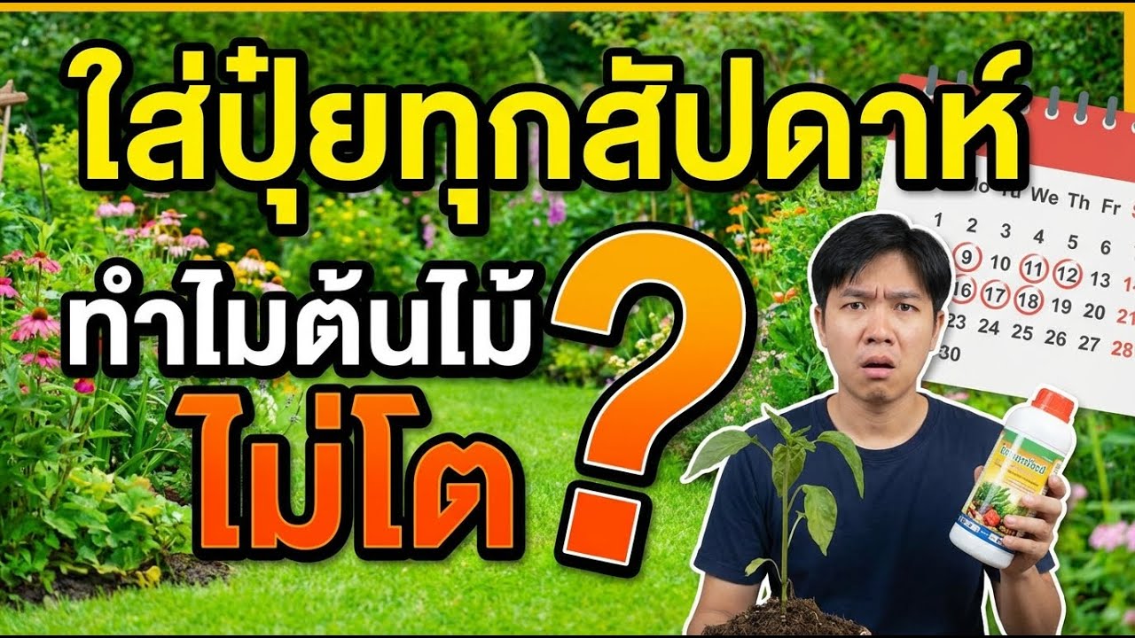 ปลายใบไหม้-ต้นไม่โต ทั้งที่ให้ปุ๋ยแล้ว? วิธีแก้ที่ชาวสวนต้องรู้