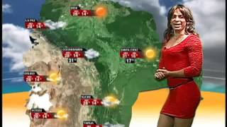 Datos Del Tiempo Ronico